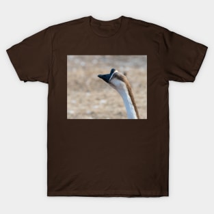 Chinese Goose Deep In Thought T-Shirt